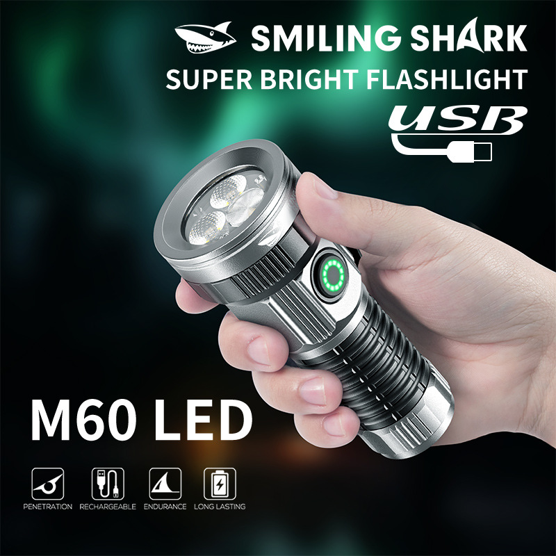 Small LED Flashlight USB C Rec - Edc Day Carry 리뷰 및 가격