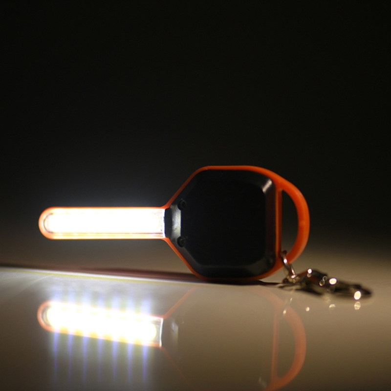 Mini Keychain  Keys Shape Mini - Compass Keychain Mini 리뷰 및 가격
