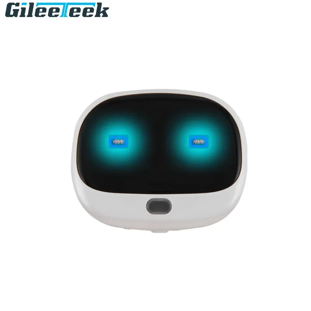 RF-V43 Mini 4G GPS Pets Tracke - Compass Keychain Mini 리뷰 및 가격