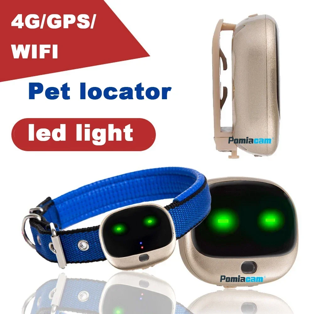 RF-V43 Mini 4G GPS Pets Tracke - Compass Keychain Mini 리뷰 및 가격